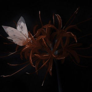 Meet your Posher, Kaiser_